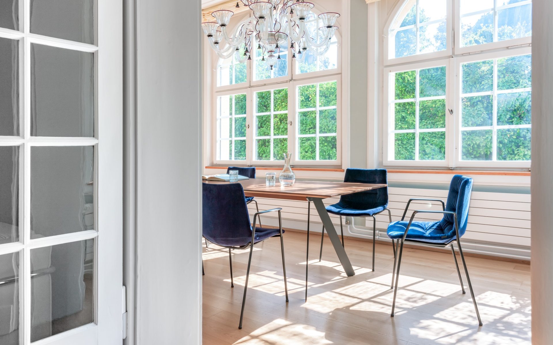 Nava_konturiert_Fox_AL_L_20200811_3